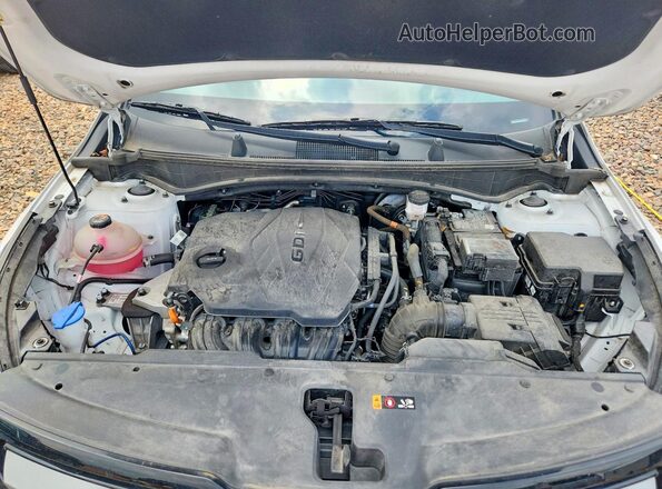 5XYK6CDF5RG154752 2024 KIA SPORTAGE Белый Вид подкапотного пространства