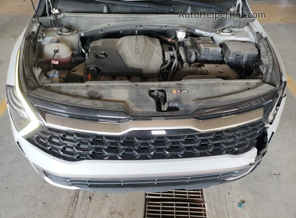 5XYK6CDF9RG139252 2024 KIA SPORTAGE Gray Սալոնի 360 աստիճան տեսք
