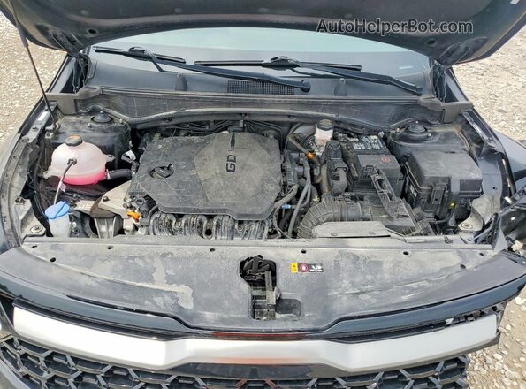 5XYK6CDF9RG191092 2024 KIA SPORTAGE Черный Вид задней части салона