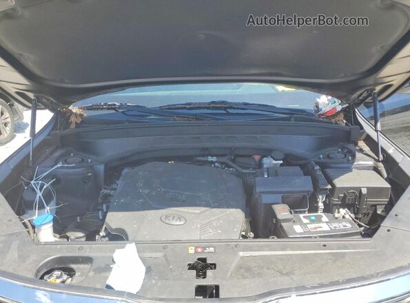 5XYP24HC3LG066135 2020 KIA TELLURIDE Черный Вид наклейки с VIN-кодом