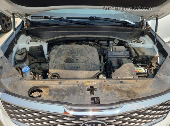 5XYP24HC4LG080528 2020 KIA TELLURIDE White Widok komory silnika