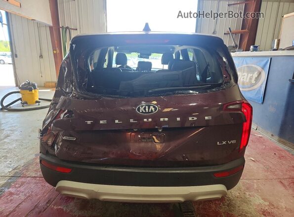 5XYP2DHC8LG048830 2020 KIA TELLURIDE Burgundy Հետևի տեսք