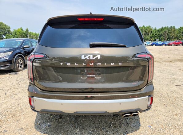 5XYP34GC2PG354958 2023 KIA TELLURIDE Brown Rear view