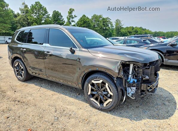 5XYP34GC2PG354958 2023 KIA TELLURIDE Brown Front right