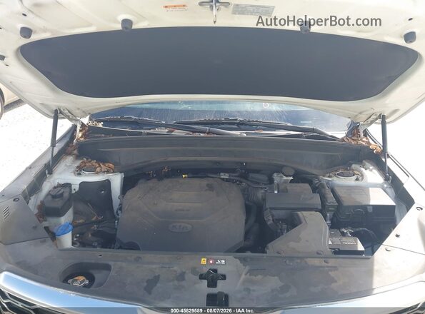 5XYP34HC3LG003274 2020 KIA TELLURIDE Белый Вид сзади