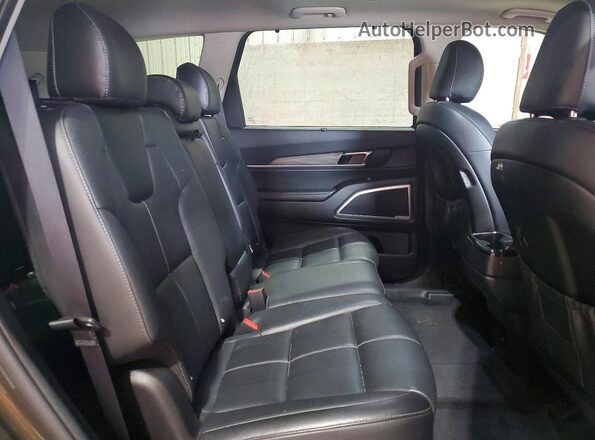5XYP34HC3LG090884 2020 KIA TELLURIDE Green Սալոնի հետևի տեսք