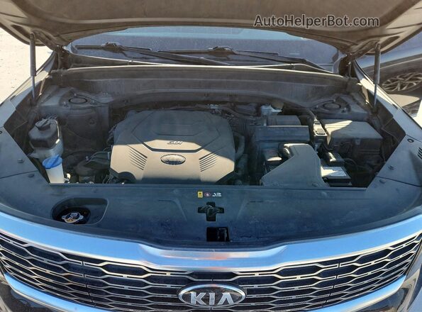 5XYP34HC4LG017670 2020 KIA TELLURIDE Черный Вид подкапотного пространства