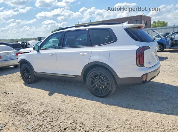 5XYP3DGC1PG401459 2023 KIA TELLURIDE White Задня ліва чверть