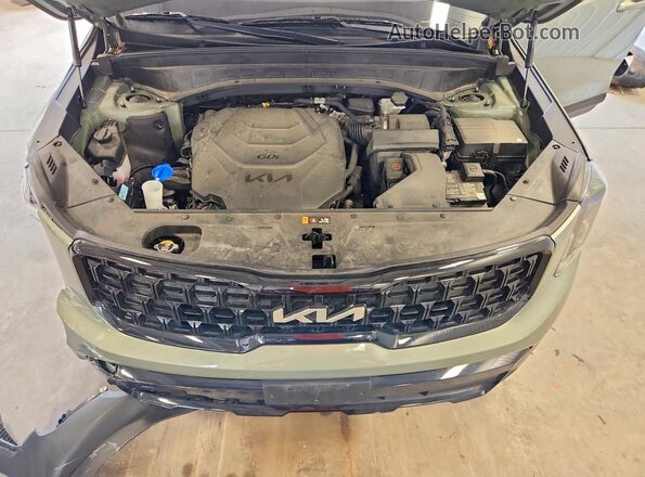 5XYP3DGC1RG536282 2024 KIA TELLURIDE Green Vista del compartimento del motor