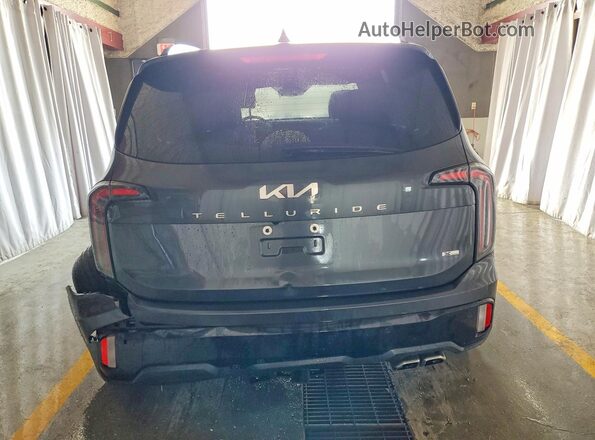 5XYP3DGC3RG501484 2024 KIA TELLURIDE Угольный Вид сзади
