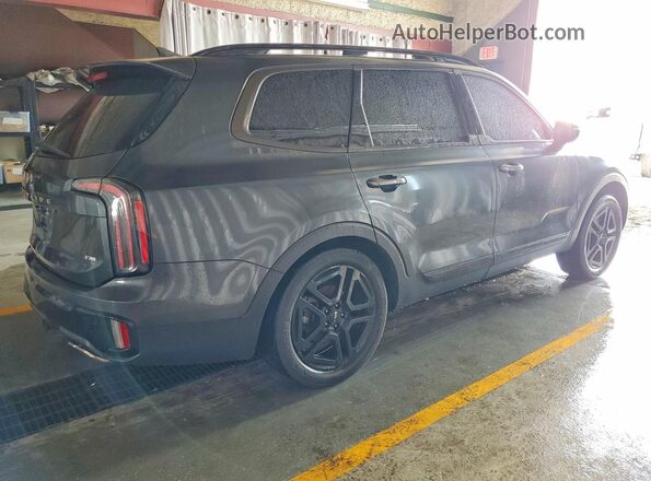5XYP3DGC3RG501484 2024 KIA TELLURIDE Угольный Задняя правая четверть