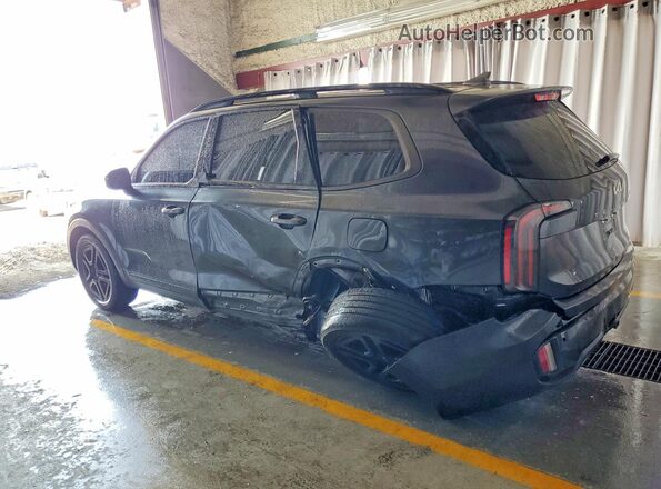 5XYP3DGC3RG501484 2024 KIA TELLURIDE Угольный Задняя левая четверть