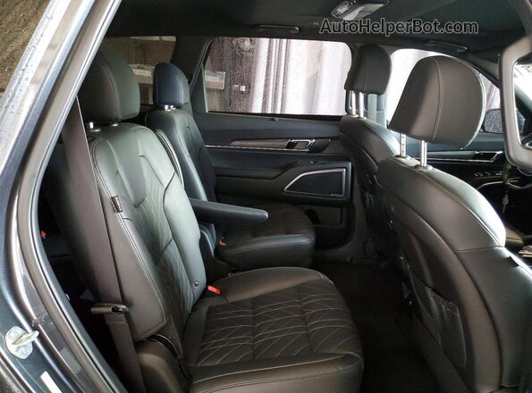 5XYP3DGC3RG501484 2024 KIA TELLURIDE Угольный Вид задней части салона