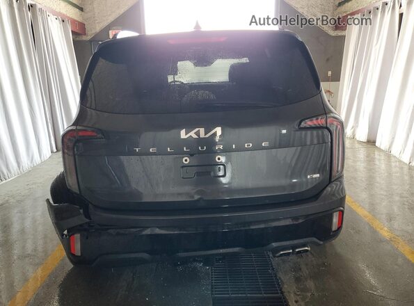 5XYP3DGC3RG501484 2024 KIA TELLURIDE Угольный 