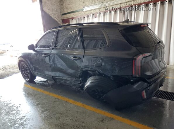 5XYP3DGC3RG501484 2024 KIA TELLURIDE Угольный 