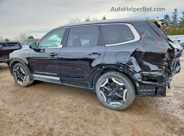 5XYP3DGC3RG516955 2024 KIA TELLURIDE Black Rear left