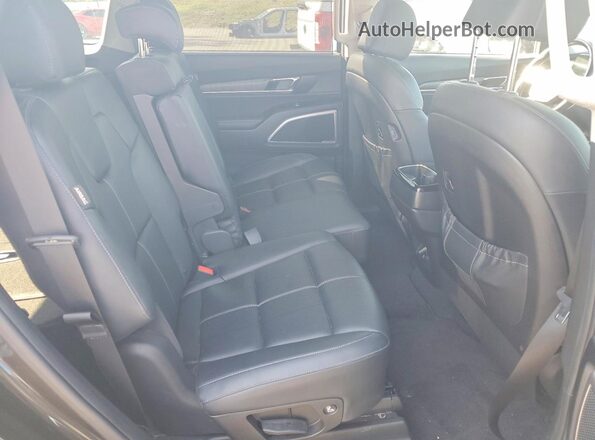 5XYP3DGC4RG420395 2024 KIA TELLURIDE Зеленый Вид задней части салона