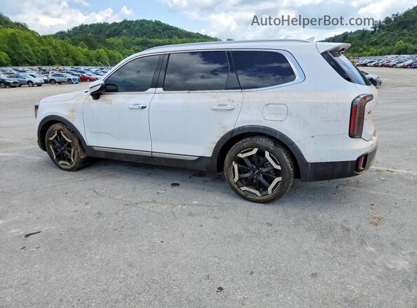 5XYP3DGC4SG580086 2025 KIA TELLURIDE Белый Задняя левая четверть