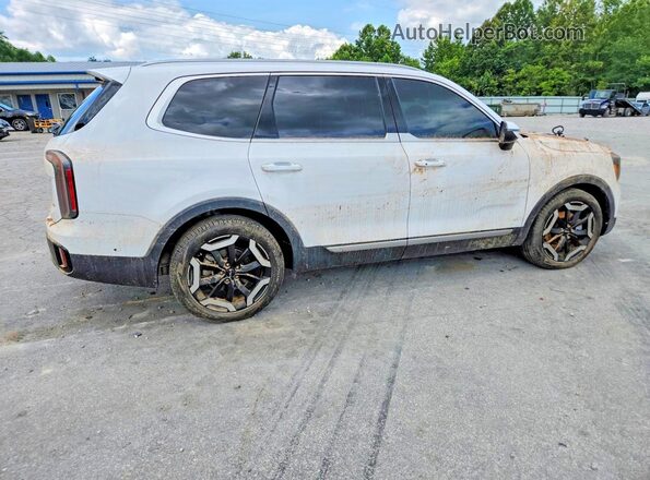 5XYP3DGC4SG580086 2025 KIA TELLURIDE Белый Задняя правая четверть