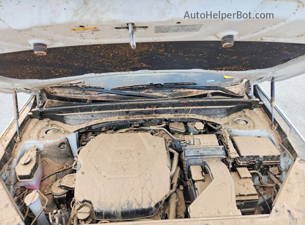 5XYP3DGC4SG580086 2025 KIA TELLURIDE Белый Вид подкапотного пространства