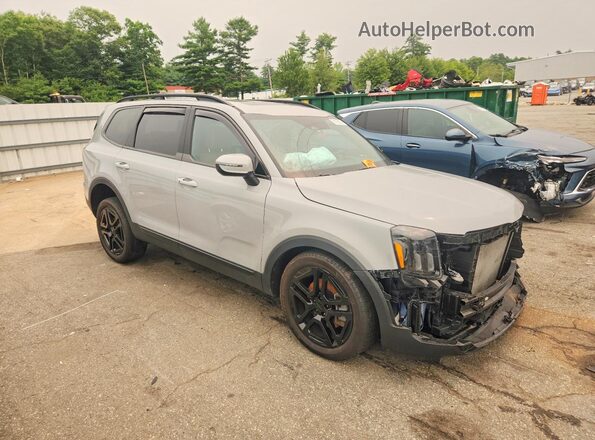 5XYP3DGC5SG567699 2025 KIA TELLURIDE Gray წინა მარჯვენა