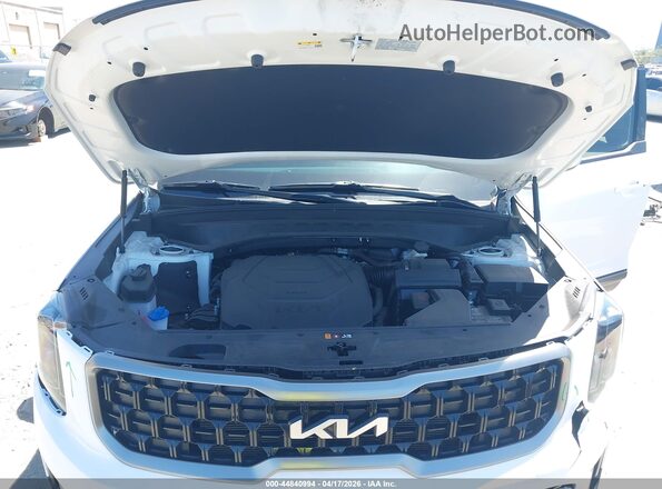 5XYP3DGC6PG340979 2023 KIA TELLURIDE White Вид ззаду
