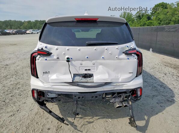 5XYP3DGC6SG636139 2025 KIA TELLURIDE White Vista trasera