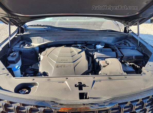 5XYP3DGC7RG427339 2024 KIA TELLURIDE Черный Вид задней части салона