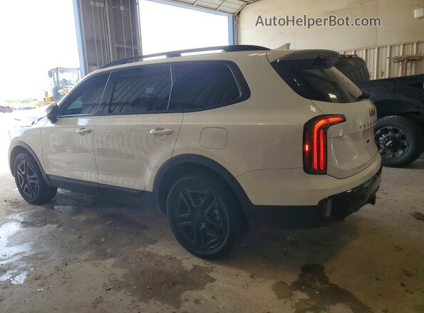 5XYP3DGC7SG580616 2025 KIA TELLURIDE Белый Задняя левая четверть
