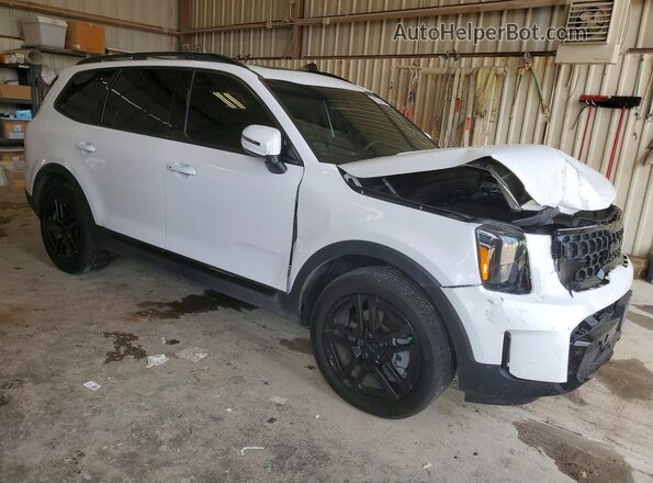 5XYP3DGC7SG580616 2025 KIA TELLURIDE Белый Передняя правая четверть
