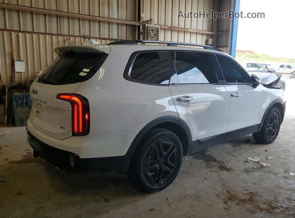 5XYP3DGC7SG580616 2025 KIA TELLURIDE Белый Задняя правая четверть