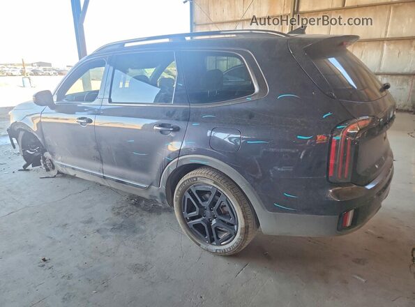 5XYP3DGC7SG643097 2025 KIA TELLURIDE Gray Հետևի ձախ