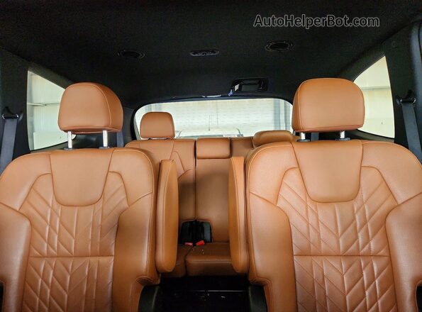 5XYP3DGC8PG352437 2023 KIA TELLURIDE Green Vista de los asientos traseros
