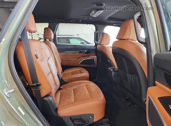 5XYP3DGC8PG352437 2023 KIA TELLURIDE Green Vista interior trasera
