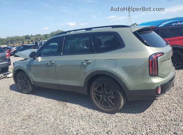 5XYP3DGC8SG682748 2025 KIA TELLURIDE Green Հետևի ձախ