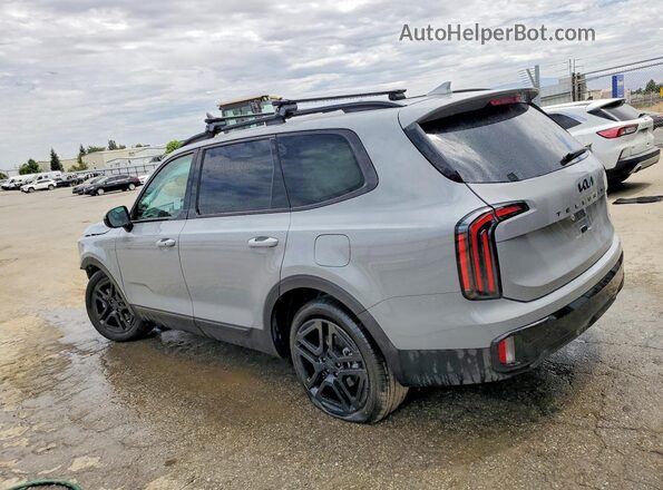 5XYP3DGC8SG711648 2025 KIA TELLURIDE Серый Задняя левая четверть