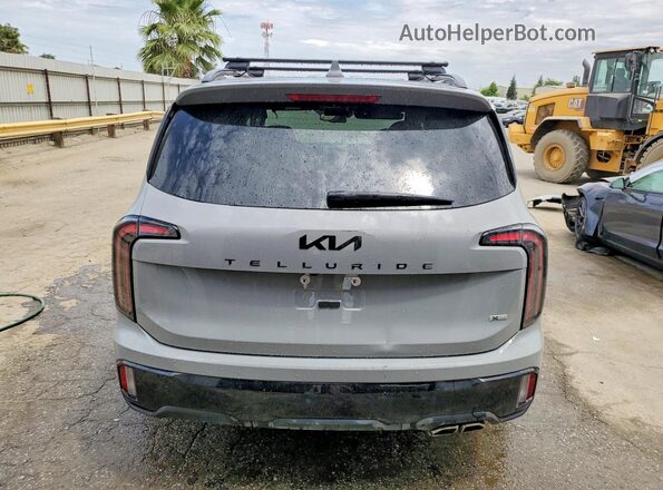 5XYP3DGC8SG711648 2025 KIA TELLURIDE Серый Вид сзади
