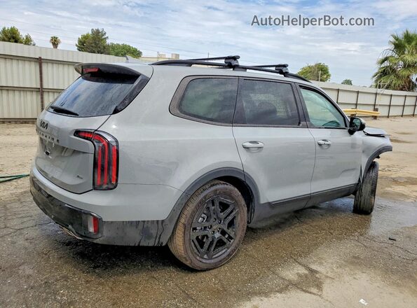 5XYP3DGC8SG711648 2025 KIA TELLURIDE Серый Задняя правая четверть