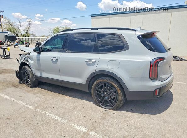 5XYP3DGC9RG540094 2024 KIA TELLURIDE Silver უკანა მარცხენა