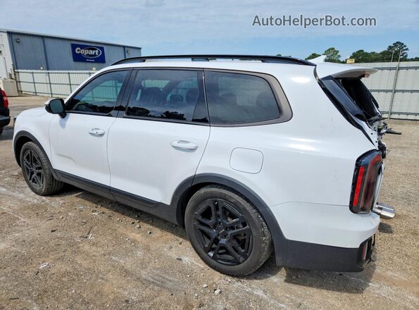 5XYP3DGCXRG548494 2024 KIA TELLURIDE White Հետևի ձախ