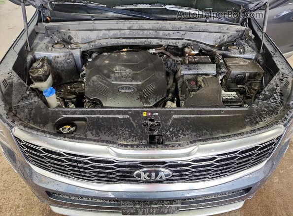 5XYP3DHC3LG030071 2020 KIA TELLURIDE Gray Vista del compartimento del motor