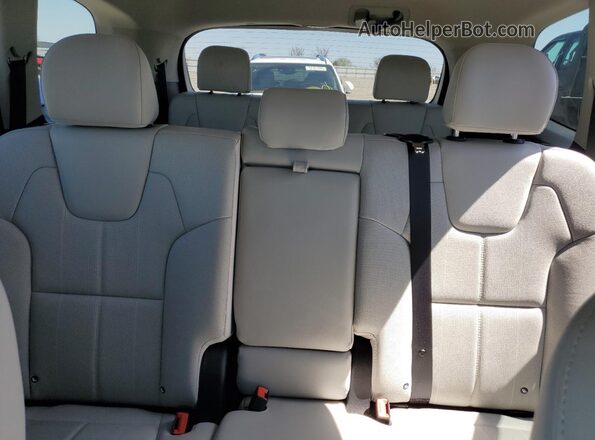 5XYP3DHC6LG037077 2020 KIA TELLURIDE Угольный Вид задних сидений