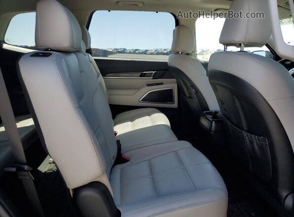 5XYP3DHC6LG037077 2020 KIA TELLURIDE Угольный Вид задней части салона