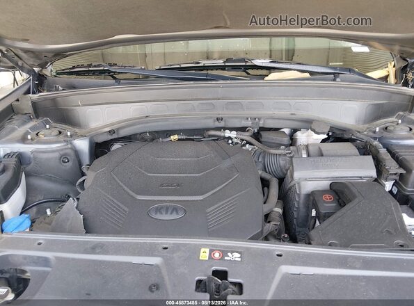 5XYP3DHC9MG097484 2021 KIA TELLURIDE Green Vista trasera