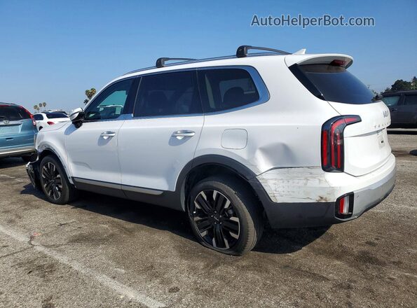 5XYP54GC2RG466639 2024 KIA TELLURIDE White Tył lewy