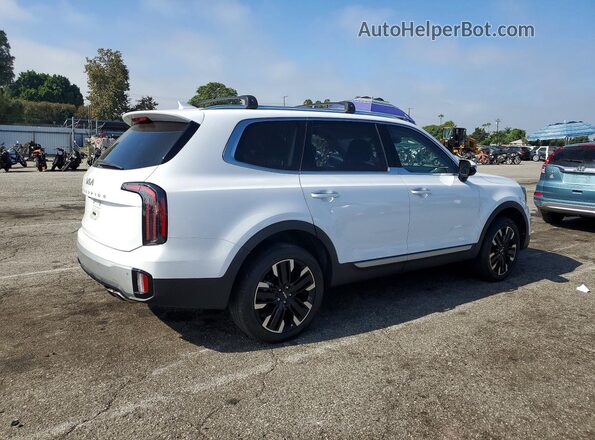 5XYP54GC2RG466639 2024 KIA TELLURIDE White Tył prawy