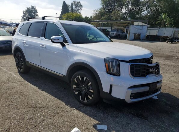 5XYP54GC2RG466639 2024 KIA TELLURIDE White Przód prawy