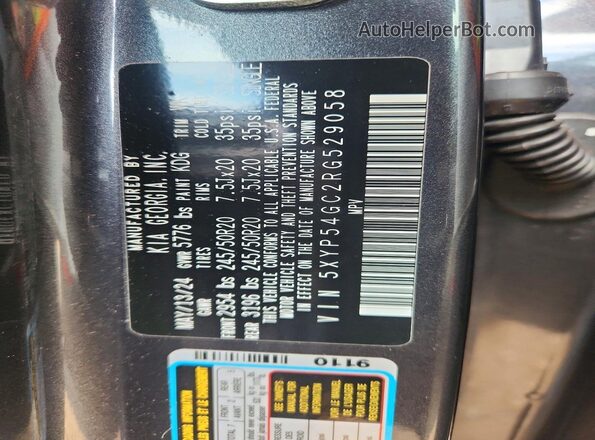 5XYP54GC2RG529058 2024 KIA TELLURIDE Серый Вид наклейки с VIN-кодом