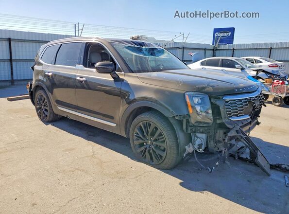 5XYP54HC5LG082179 2020 KIA TELLURIDE Brown Առջևի աջ