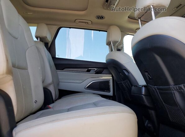 5XYP54HC5LG082179 2020 KIA TELLURIDE Brown Սալոնի հետևի տեսք
